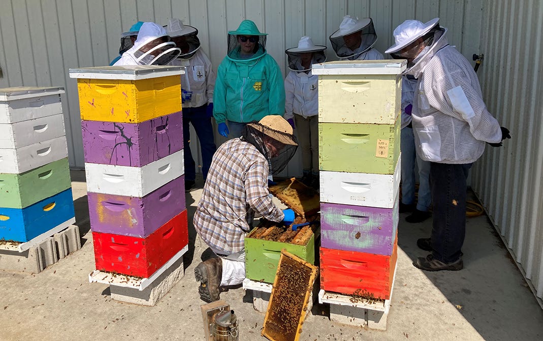 2024_Extension Impact Report_Pollinators_beekeepers.jpg